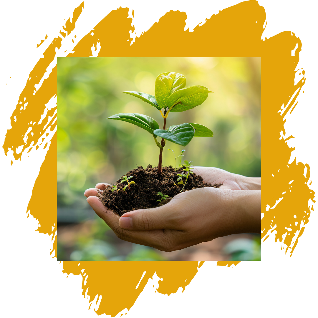 Biblical Stewardship: What It Really Means to Manage What God Gave You